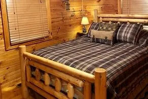 Blue Ridge Cozy Cabin in the Woods w/ Hot Tub! - Image 3