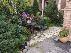 Cozy 2-bedroom basement unit w/free Parking & WiFi - Image 2