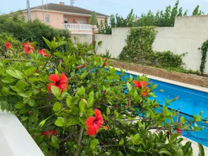 Villamor - Image 5