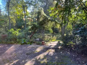 Private, deluxe, scenic riverfront guest suite! - Image 3