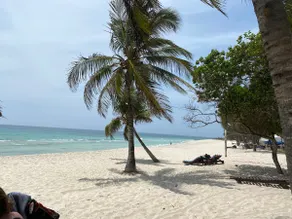 Private Backdoor Villa with big swimming pool and services of chef included - Image 3