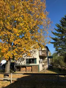 Cozy Okemo Mountain Colonial - Image 2
