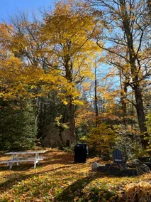 East Burke Cozy Cottage on the Kingdom Trails - Image 5
