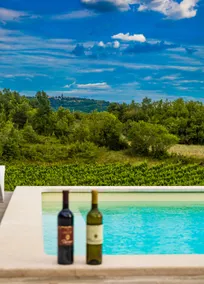Romantic istrian stone house - Image 2