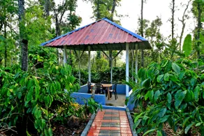 CoffeeCrown Homestay - 1KM to Waterfalls - Image 4