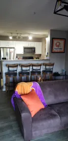 Clemson 3BR/3BA - perfect for games & visits! - Image 4