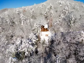 Red Apple Mountaintop cabin, hot tub, Wi Fi, Pet - Image 5