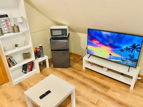 Bright, Stylish & Cozy Private Attic Unit near NYC! - Image 3