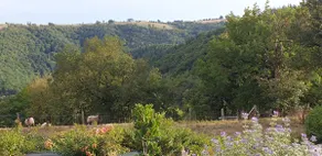 Family gîte between Rodez and Albi - Image 4