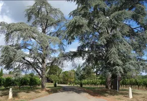 Gîte at Château La Ressaudie - Image 2