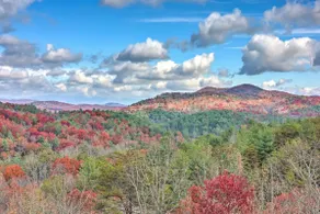 Cozy 2/2 Cabin +Hot Tub +Long Range Mtn Views! - Image 4