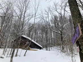 Cozy 1-bedroom log cabin in the mountains - Image 2