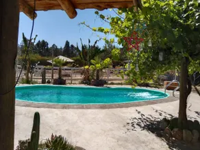 Lovely place with a pool and alpacas - Image 3