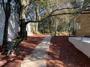 Forest house - Image 3