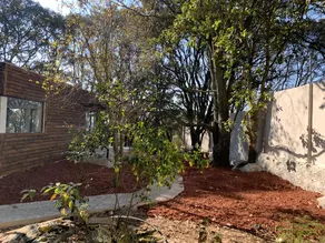 Forest house - Image 5