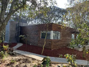 Forest house - Image 4