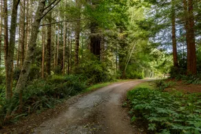 Redwood Coastal Cottage Retreat~ Fleurhaven Chalet - Image 2