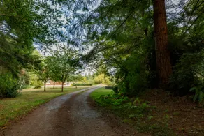 Redwood Coastal Cottage Retreat~ Fleurhaven Chalet - Image 4