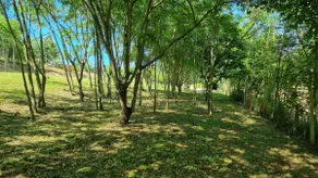 Casa Cloe - Image 5