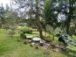 House surrounded by nature and a fireplace inside - Image 3