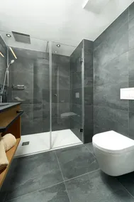 Beautiful Studio Apartment with Alpine Panorama - Image 3