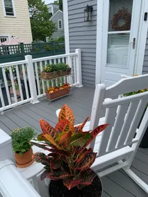 Charming historic home in downtown Newburyport - Image 3