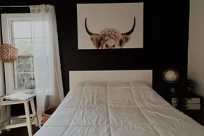 Dog-Friendly Home in Long Beach | Near Beach - Image 3