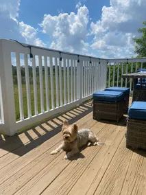 Vilano Beach GUEST house/pet/BBQ/10 min 2 dwntwn - Image 4