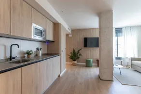 Deluxe 1-bedroom apartment - Plaza Yamaguchi - Image 4