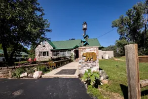 Mountain woods - Image 4