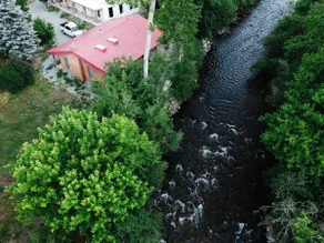 Charming Riverside Cottage in National Forest - Image 4