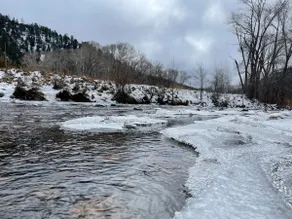 Charming Riverside Cottage in National Forest - Image 2