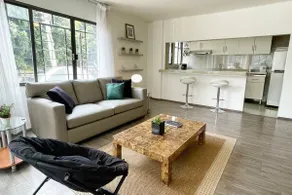 Steps from Condesa & Amsterdam -Naturally Well Lit - Image 2
