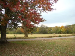 Maple Tree Cottage - Close to boat docks and Wedding venues - Image 4