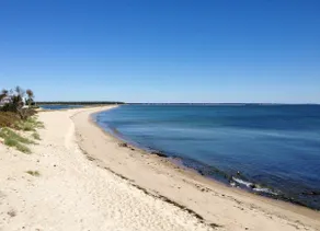 Coastal Retreat. Kayak Launch / Walk to Beach - Image 2