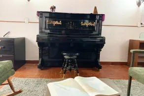 Experience CDMX from a Great House in Coyoacán - Image 5