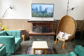 Experience CDMX from a Great House in Coyoacán - Image 4