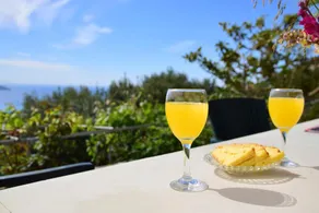Perfetto Country House - Myrtos View - Image 2