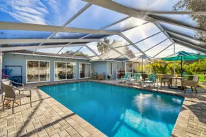 Tropical Pool Retreat in Tarpon Springs - Image 3