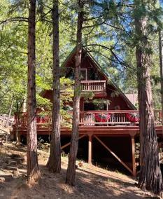 The Bearfoot Barn - Image 2