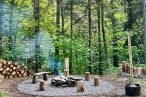 Stunning Catskills Forest Cabin Near Skiing - Image 3