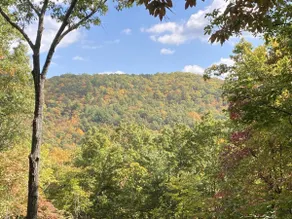 MONTREAT ROUND HOUSE - Mountain views, Renovated, Hot Tub, Fire Pit - Image 4