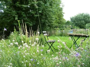 Airy gable apartment for a break in the countryside - Image 4