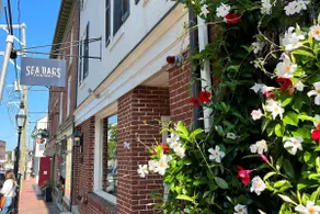 Lovely 1-bedroom in downtown Portsmouth steps to everything! - Image 2