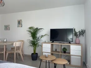 Thuit de l'Oison - Beautiful F2 duplex apartment - Image 2