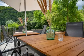 Vineyards Pommern - beautiful vacation home near Cochem - Image 2