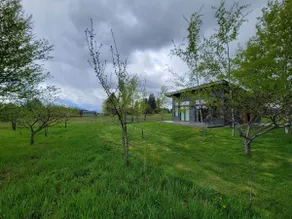 Mtn View orchard house w/hot tub - Image 4
