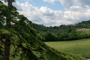 Fattoria Francesco - Image 2