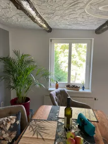 Old town apartment on the Domäne - Image 3