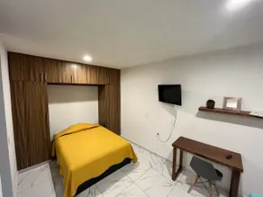 Luxury loft in Silao - Image 2